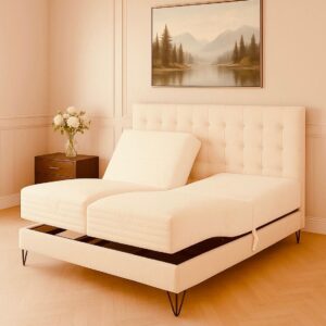 מערכת מתכווננת דגם קינג צארלס