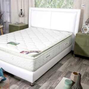 בסיס מרופד דגם אורי